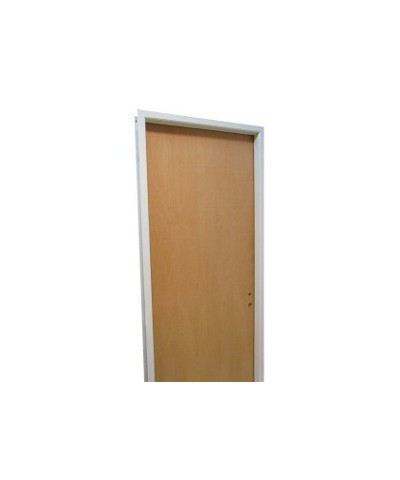 Puerta Placa Paine Marco De Aluminio 0.70 X 2.00 Izquierda